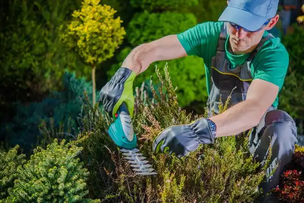 landscaping services White Plains